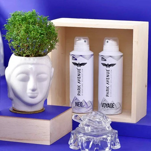 Buy PARK AVENUE Premium Grooming Perfume Eau de Parfum - 270 ml Online In  India | Flipkart.com