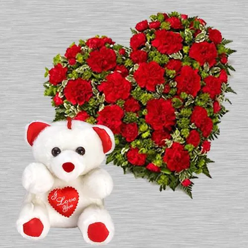 Carnation deals teddy bear