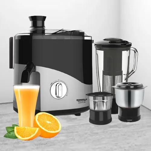 Mixer juicer maharaja best sale