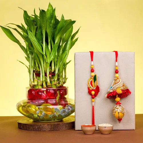 Intricate Zardosi Rakhi  N  Lucky Bamboo Blessings Set