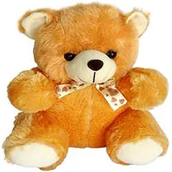 Soft toys and teddy 2024 bears